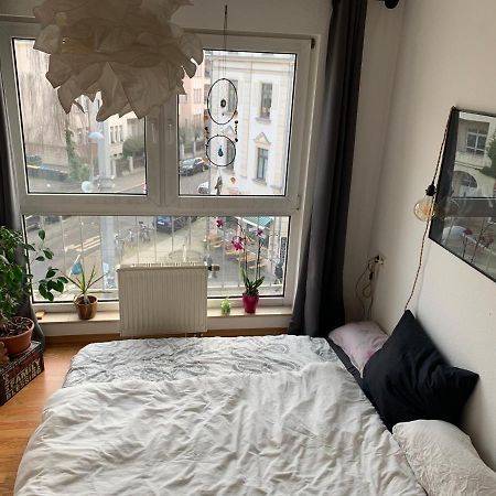 Am Clara-Zetkin-Park, Netflix, Lichtdurchflutet Apartman Lipcse Kültér fotó